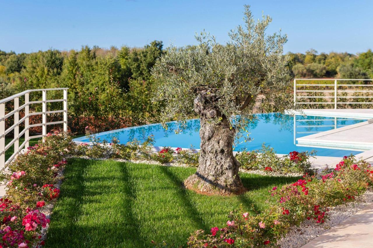 Villa Blanche By Ilc