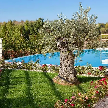 Villa Blanche By Ilc Brtonigla Exterior photo